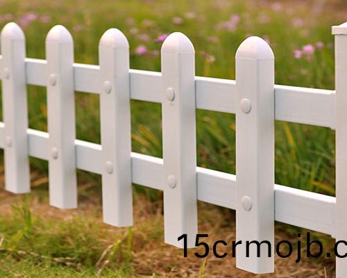 綠(lv)化(hua)護欄網(wang)