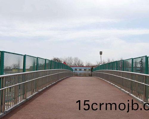 橋樑(liang)護欄(lan)網(wang)